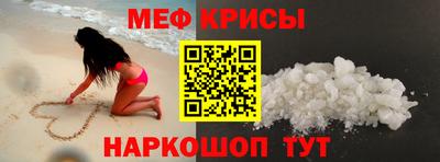стаф Бердск
