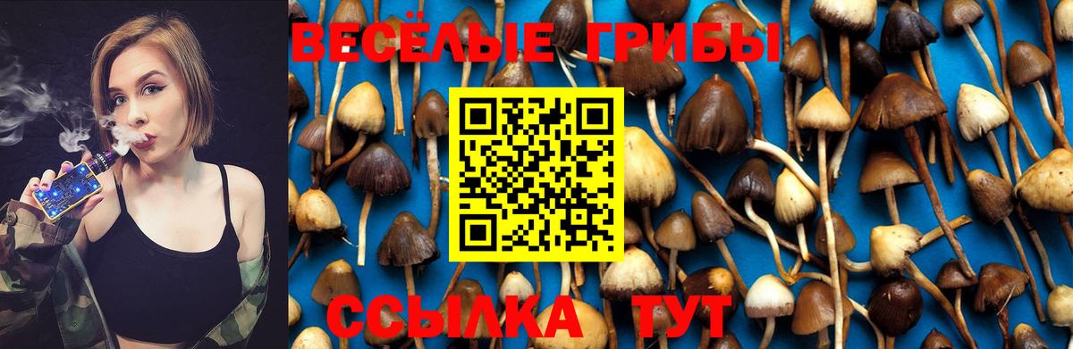 Галлюциногенные грибы MAGIC MUSHROOMS Таганрог