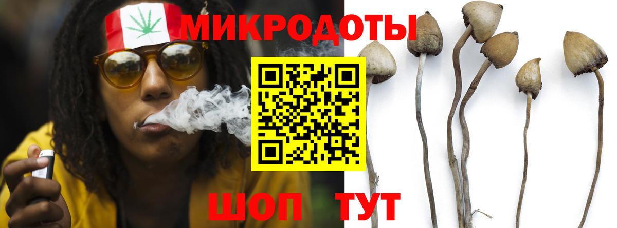 Таганрог  Галлюциногенные грибы прущие грибы  Вход с VPN 